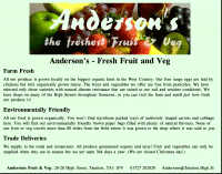sample website 2